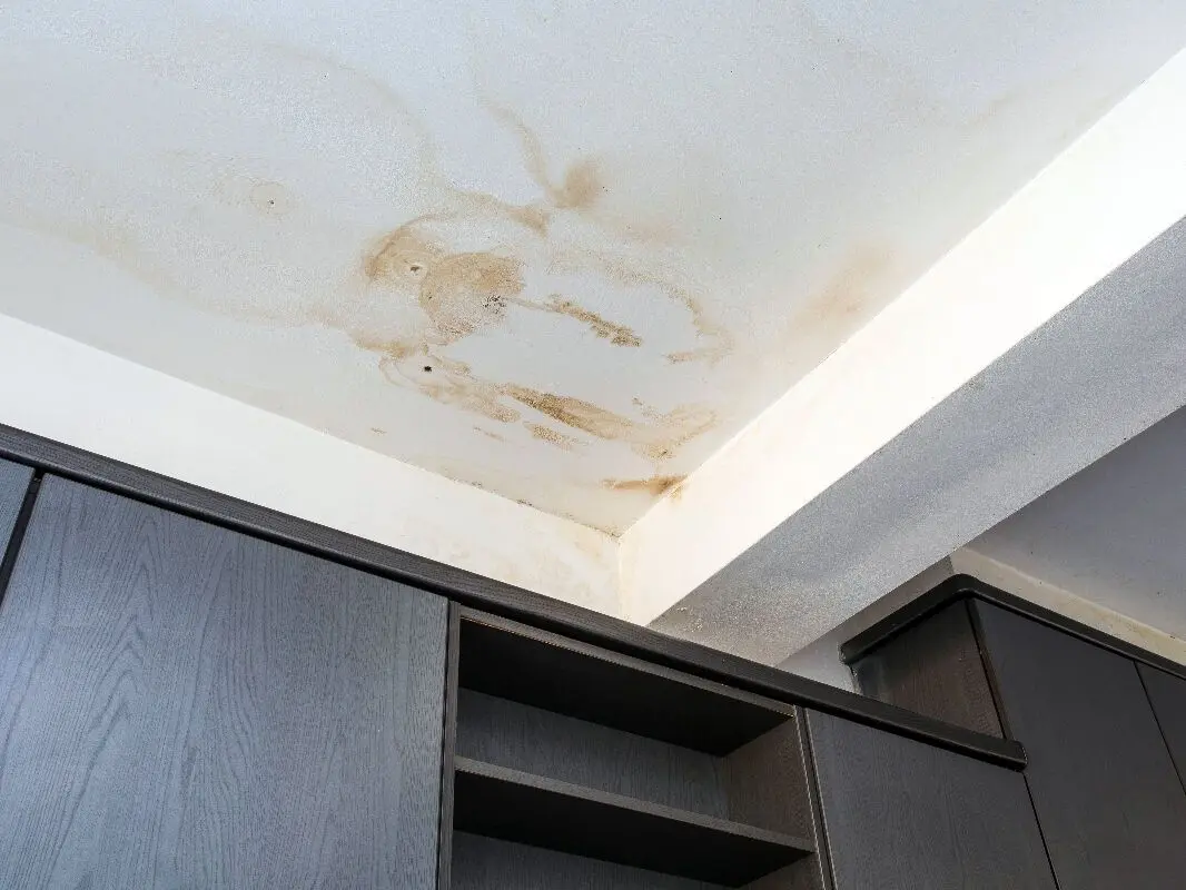 Moisissures et humidité sur les murs à Toulon : que faire