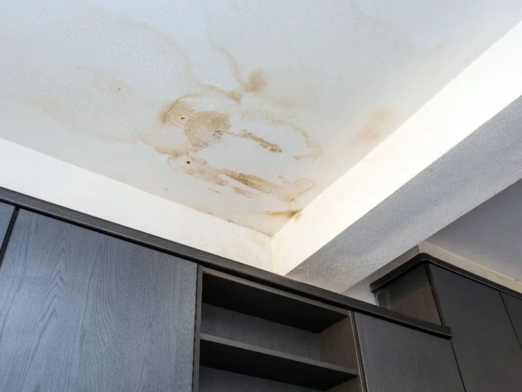 Moisissures et humidité sur les murs à Toulon : que faire