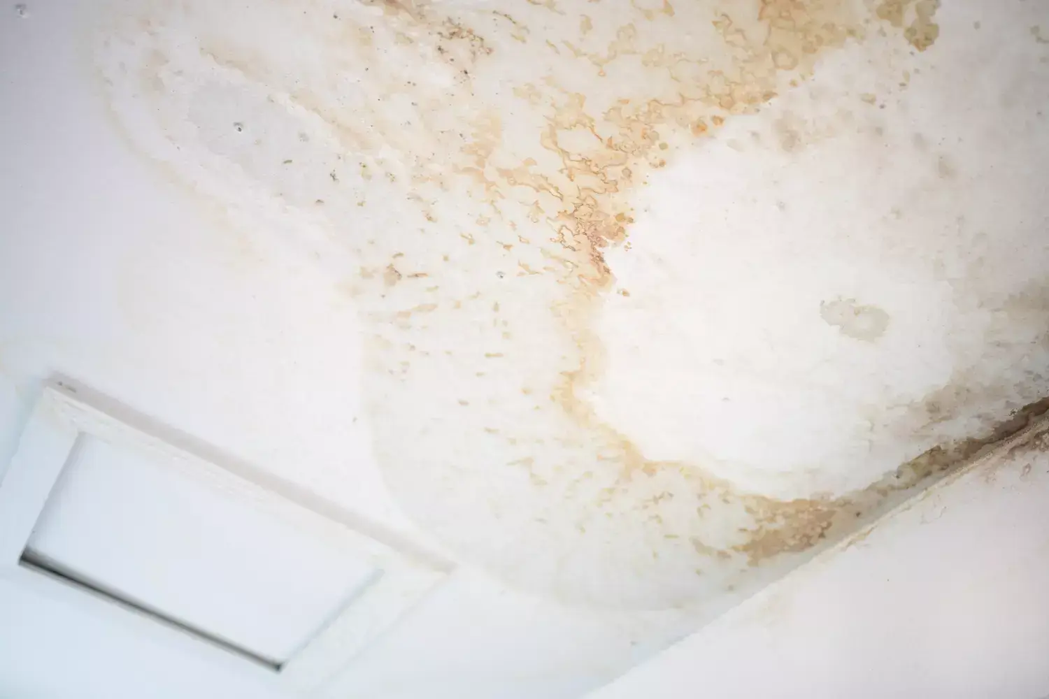 Traiter les Murs Après un Dégât des Eaux : Guide 2026